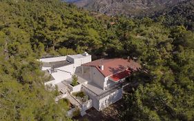 Nestor Hillside House By Trulycyprus